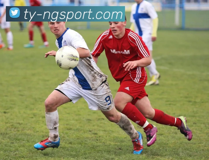 App Interface Preview